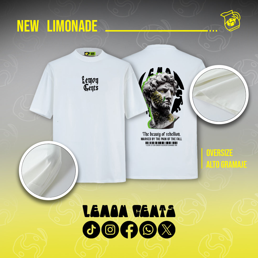 camisa oversize David